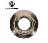 matica_can_am_233211466_2