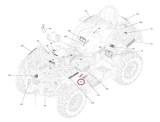 nalepka_krytu_motora_CANAM_704905746_1x