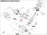 ojnica_cf_moto_gladiator_080004200000021_2